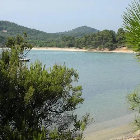 Mobil-home Avec Terrasse à - Api-1-52-190